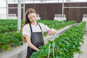 young teen lady farmer happy take care plant products with love. modern agriculture plantation in greenhouse. photo