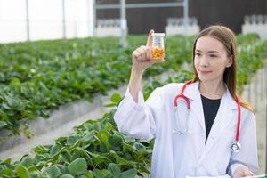 médico científico trabajo investigación en orgánico hierba granja laboratorio descubrimiento medicina píldora extraer desde planta foto