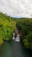 dinâmico fpv voar sobre tropical cascata e rio dentro a exuberante selva, Tailândia video