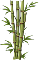 AI generated Bamboo illustration isolated on transparent background. png