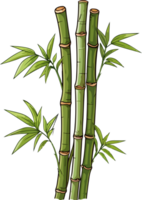 AI generated Bamboo illustration isolated on transparent background. png