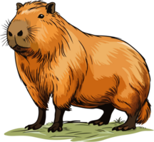 ai gerado capivara ilustração isolado em transparente fundo. png