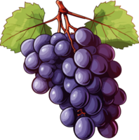 AI generated grape illustration isolated on transparent background. png