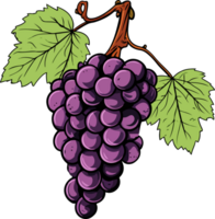 AI generated grape illustration isolated on transparent background. png