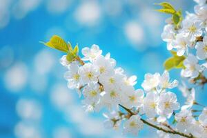 AI generated Spring banner with branches of blossoming cherry on blue sky background. Generative AI photo