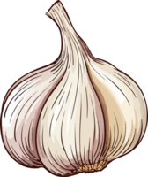 AI generated garlic illustration isolated on transparent background. png