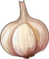 AI generated garlic illustration isolated on transparent background. png