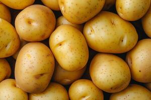 AI generated Fresh organic potatoes on market. Healthy food background. Generative AI photo