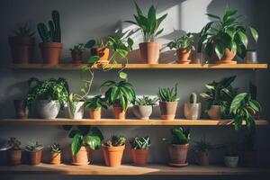 AI generated Shelf filled with potted plants. Home decor and tree lover concept. Generative AI photo