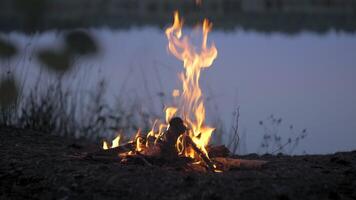 A fire burns on the shore of a forest lake. Calm and relaxation concept. video