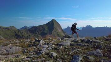 Aerial view of girl with a backpack goes on a mountain ridge. Beautiful view of the peaked tops of the Lofoten Islands. Norway 4k photo