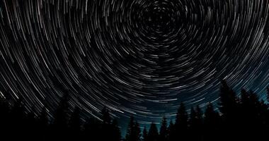 Star trails in the night sky. Stars move around a polar star. Silhouettes of trees photo