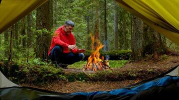 barbado hombre por el fuego en un hermosa bosque. el cámping es situado en un hermosa bosque césped en el montañas. viaje concepto foto