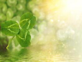 Green clover leaves on a background summer landscape. St.Patrick 's Day photo