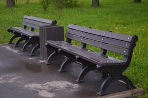 Wooden brown benches and a trash can in the park on the path, front view. Place for rest. photo
