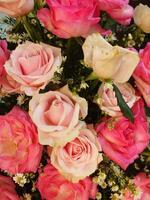 Boda vistoso Rosa ramo. fresco, lozano ramo de flores de vistoso flores flores, ramo, rosas, margaritas, tulipanes, florero, regalo, estética foto