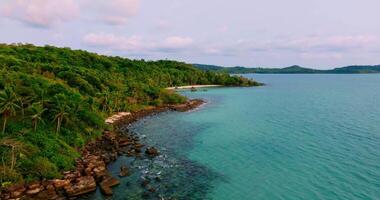 aérien drone vue de le tropical plage et le pont avec clair turquoise mer, blanc le sable et des arbres video