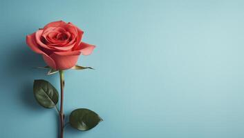 AI generated A love background with a red rose. photo