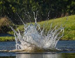 AI generated Water splash in midair on natural background. photo