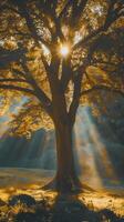 AI generated Sun rays shining through the tree in the autumn forest. Retro style photo