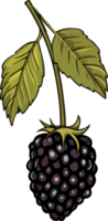 AI generated berry design illustration isolated on transparent background png