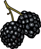 AI generated berry design illustration isolated on transparent background png