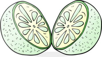 Karikatur Hälfte Melone png