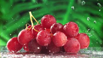 Raindrops fall on red grapes. Filmed on a high-speed camera at 1000 fps. High quality FullHD footage video