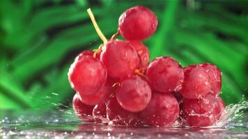 Red grapes fall with splashes on a wet table. Filmed on a high-speed camera at 1000 fps. High quality FullHD footage video