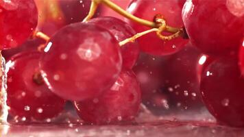 rojo uvas otoño con salpicaduras en un mojado mesa. filmado en un alta velocidad cámara a 1000 fps. alto calidad full HD imágenes video