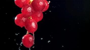 Raindrops falling on red grapes on black background. Filmed on a high-speed camera at 1000 fps. High quality FullHD footage video