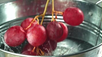 rojo uvas otoño dentro un Cubeta de agua. filmado en un alta velocidad cámara a 1000 fps. alto calidad full HD imágenes video