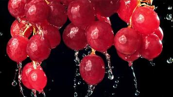 Raindrops falling on red grapes on black background. Filmed on a high-speed camera at 1000 fps. High quality FullHD footage video