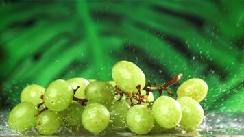 White grapes fall on a wet table with splashes. Filmed on a high-speed camera at 1000 fps. High quality FullHD footage video