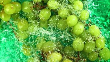 Green grapes fall with splashes into the water. Top view. Filmed on a high-speed camera at 1000 fps. High quality FullHD footage video