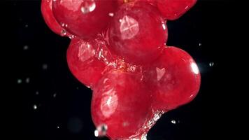 Raindrops falling on red grapes on black background. Filmed on a high-speed camera at 1000 fps. High quality FullHD footage video