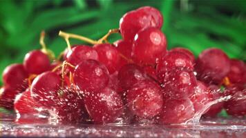 Red grapes fall with splashes on a wet table. Filmed on a high-speed camera at 1000 fps. High quality FullHD footage video