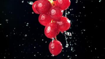 Raindrops falling on red grapes on black background. Filmed on a high-speed camera at 1000 fps. High quality FullHD footage video