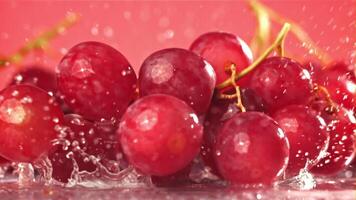 Red grapes fall with splashes on a wet table. Filmed on a high-speed camera at 1000 fps. High quality FullHD footage video