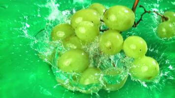 verde uvas outono com salpicos para dentro a água. topo visualizar. filmado em uma alta velocidade Câmera às 1000 fps. Alto qualidade fullhd cenas video