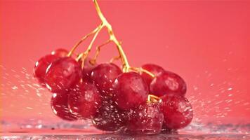 Red grapes fall with splashes on a wet table. Filmed on a high-speed camera at 1000 fps. High quality FullHD footage video