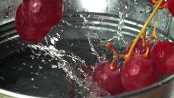 vermelho uvas outono para dentro uma balde do água. filmado em uma alta velocidade Câmera às 1000 fps. Alto qualidade fullhd cenas video