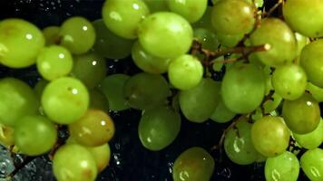 Green grapes fall with splashes into the water. Top view. Filmed on a high-speed camera at 1000 fps. High quality FullHD footage video