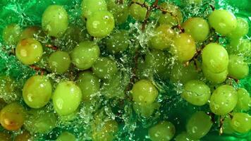 Green grapes fall with splashes into the water. Top view. Filmed on a high-speed camera at 1000 fps. High quality FullHD footage video