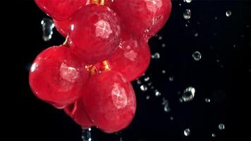 gotas de lluvia que cae en rojo uvas en negro antecedentes. filmado en un alta velocidad cámara a 1000 fps. alto calidad full HD imágenes video