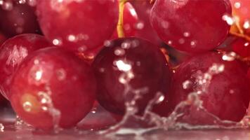 Red grapes fall with splashes on a wet table. Filmed on a high-speed camera at 1000 fps. High quality FullHD footage video