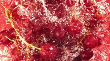 Red grapes fall with splashes into the water. Top view. Filmed on a high-speed camera at 1000 fps. High quality FullHD footage video