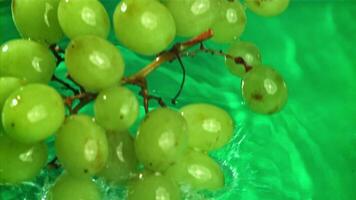 Green grapes fall with splashes into the water. Top view. Filmed on a high-speed camera at 1000 fps. High quality FullHD footage video