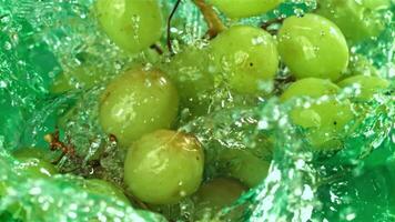 groen druiven vallen met spatten in de water. top visie. gefilmd Aan een hoge snelheid camera Bij 1000 fps. hoog kwaliteit full HD beeldmateriaal video