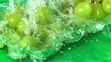 Green grapes fall with splashes into the water. Top view. Filmed on a high-speed camera at 1000 fps. High quality FullHD footage video